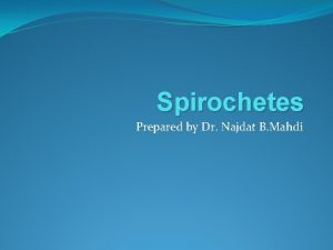 Spirochetes Prepared by Dr Najdat B Mahdi Spirochetes