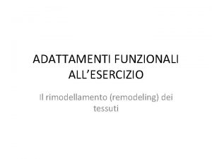 ADATTAMENTI FUNZIONALI ALLESERCIZIO Il rimodellamento remodeling dei tessuti