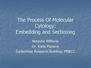 The Process Of Molecular Cytology Embedding and Sectioning
