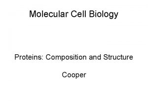 Molecular Cell Biology Proteins Composition and Structure Cooper