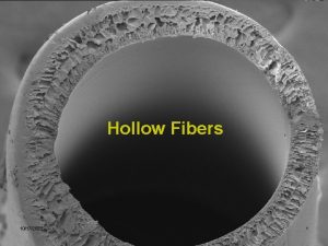 Hollow Fibers 10172021 1 Hollow Fibers l Definition