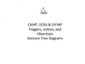 CAMT DOSS DJFMP Triggers Indices and Objectives Decision