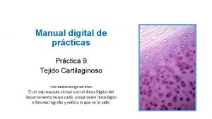Manual digital de prcticas Prctica 9 Tejido Cartilaginoso