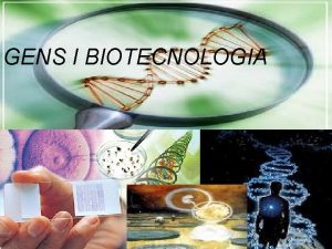 GENS I BIOTECNOLOGIA 1 Qu s la biotecnologia