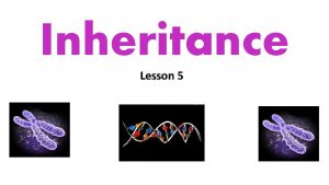 Inheritance Lesson 5 Learning Intention To learn how