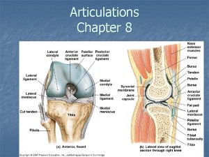 Articulations Chapter 8 Classification of Joints Articulations Joint