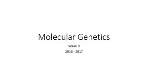 Molecular Genetics Week 8 2016 2017 36 DNA