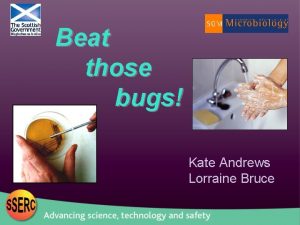 Beat those bugs Kate Andrews Lorraine Bruce Beat
