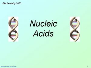 Biochemistry 3070 Nucleic Acids Biochemistry 3070 Nucleic Acids