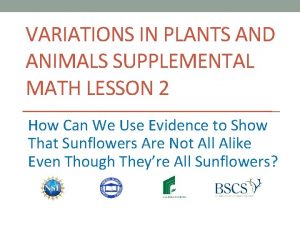 VARIATIONS IN PLANTS AND ANIMALS SUPPLEMENTAL MATH LESSON