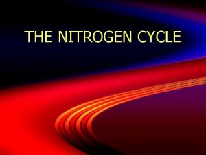 THE NITROGEN CYCLE THE NITROGEN CYCLE All living