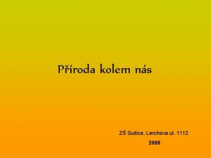 Proda kolem ns Z Suice Lerchova ul 1112