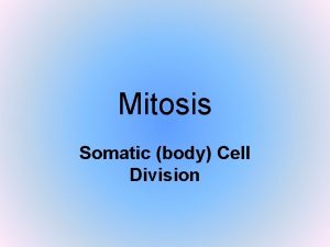 Mitosis Somatic body Cell Division Mitosis What is