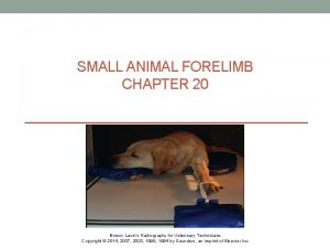 SMALL ANIMAL FORELIMB CHAPTER 20 Brown Lavins Radiography