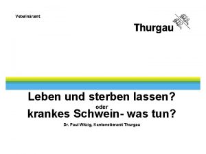 Veterinramt Leben und sterben lassen oder krankes Schwein