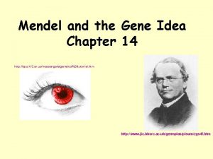 Mendel and the Gene Idea Chapter 14 http