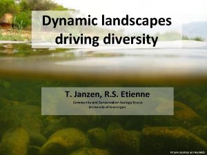 Dynamic landscapes driving diversity T Janzen R S