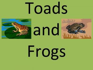 Toads and Frogs Toads are amphibians animals that