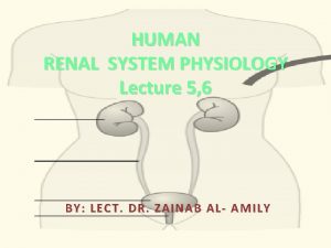 HUMAN RENAL SYSTEM PHYSIOLOGY Lecture 5 6 BY