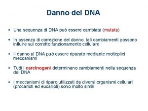 Danno del DNA w Una sequenza di DNA