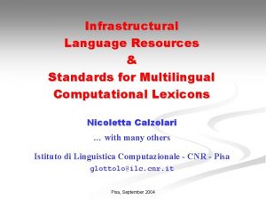 Infrastructural Language Resources Standards for Multilingual Computational Lexicons