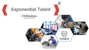 Exponential Talent Chihuahuas Highlights 3 4 million inhabitants