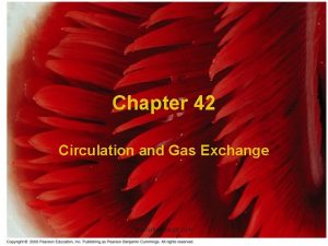 Chapter 42 Circulation and Gas Exchange travismulthaupt com