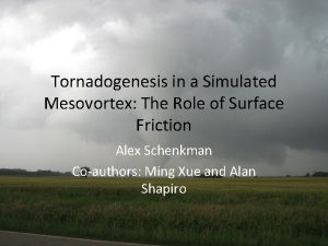 Tornadogenesis in a Simulated Mesovortex The Role of