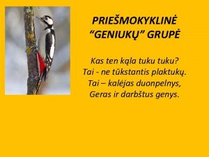 PRIEMOKYKLIN GENIUK GRUP Kas ten kla tuku Tai