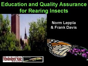 Education and Quality Assurance for Rearing Insects Norm