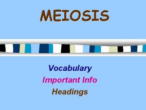 MEIOSIS Vocabulary Important Info Headings Mitosis formation of