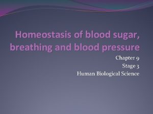 Homeostasis of blood sugar breathing and blood pressure