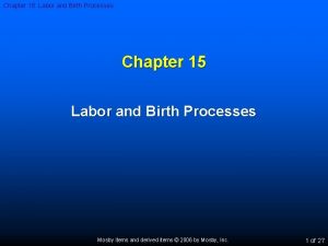 Chapter 15 Labor and Birth Processes Chapter 15