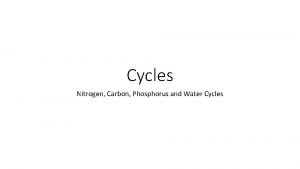 Cycles Nitrogen Carbon Phosphorus and Water Cycles Ecosystem