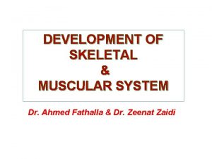 DEVELOPMENT OF SKELETAL MUSCULAR SYSTEM Dr Ahmed Fathalla