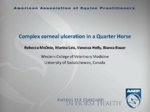 Complex corneal ulceration in a Quarter Horse Rebecca