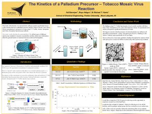 The Kinetics of a Palladium Precursor Tobacco Mosaic