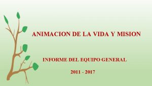 ANIMACION DE LA VIDA Y MISION INFORME DEL