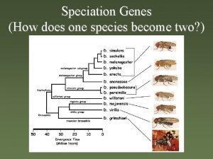 Speciation Genes How does one species become two