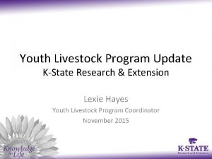 Youth Livestock Program Update KState Research Extension Lexie