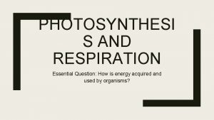 PHOTOSYNTHESI S AND RESPIRATION Essential Question How is