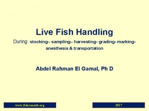 Live Fish Handling During stocking sampling harvesting grading