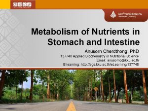 Metabolism of Nutrients in Stomach and Intestine Anusorn