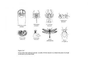 Figure 14 1 Some of the main arthropod