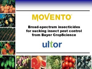 Broadspectrum insecticides for sucking insect pest control from