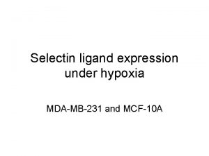 Selectin ligand expression under hypoxia MDAMB231 and MCF10