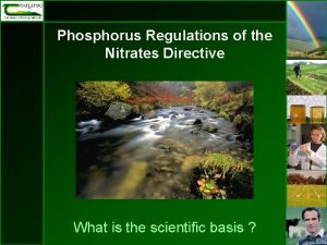 Phosphorus Regulations of the Nitrates Directive What is