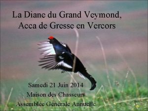 La Diane du Grand Veymond Acca de Gresse