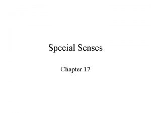 Special Senses Chapter 17 The Special Senses and