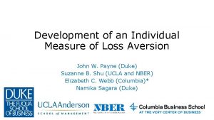 Development of an Individual Measure of Loss Aversion
